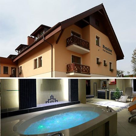 Wellness Penzion Pod Rozhlednou Kostelec nad Orlicí Exterior photo