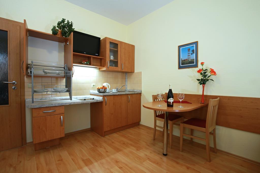 Wellness Penzion Pod Rozhlednou Kostelec nad Orlicí Room photo