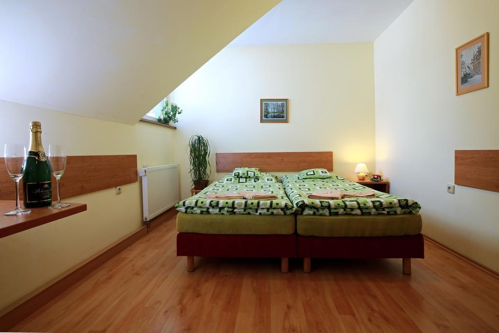 Wellness Penzion Pod Rozhlednou Kostelec nad Orlicí Room photo