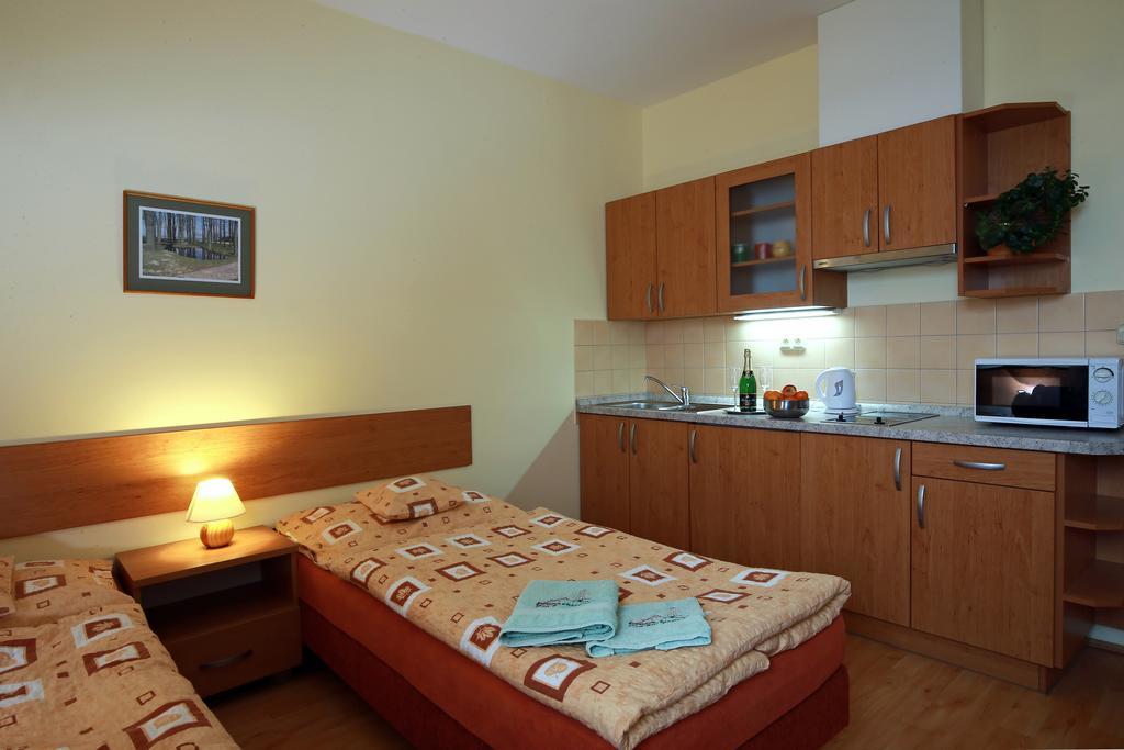 Wellness Penzion Pod Rozhlednou Kostelec nad Orlicí Room photo