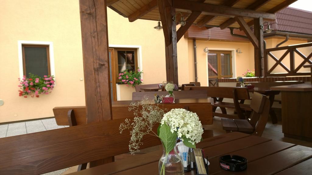Wellness Penzion Pod Rozhlednou Kostelec nad Orlicí Exterior photo