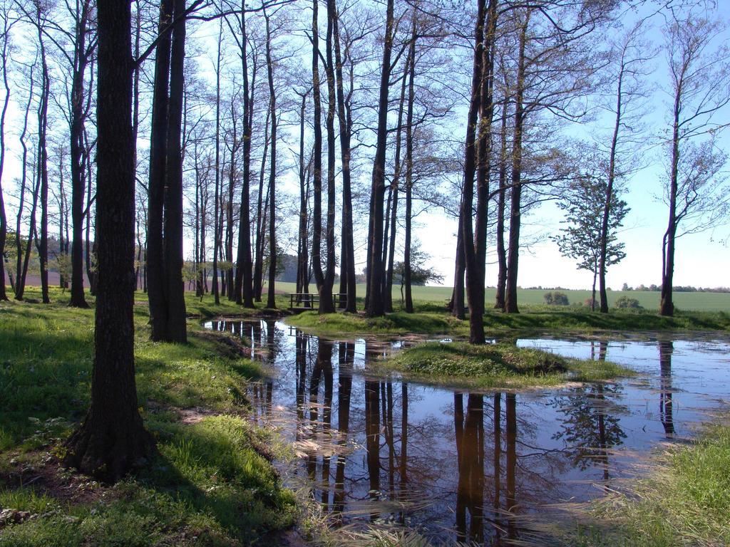 Wellness Penzion Pod Rozhlednou Kostelec nad Orlicí Exterior photo
